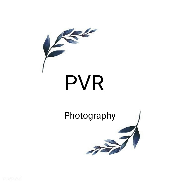 PVS_2018_9983 image